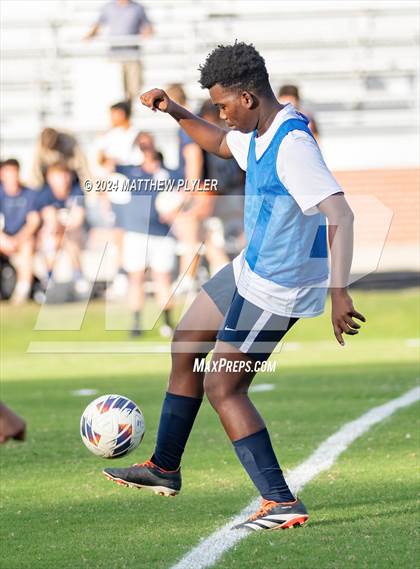 Thumbnail 2 in Pine Forest @ Terry Sanford photogallery.