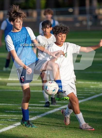 Thumbnail 3 in Pine Forest @ Terry Sanford photogallery.