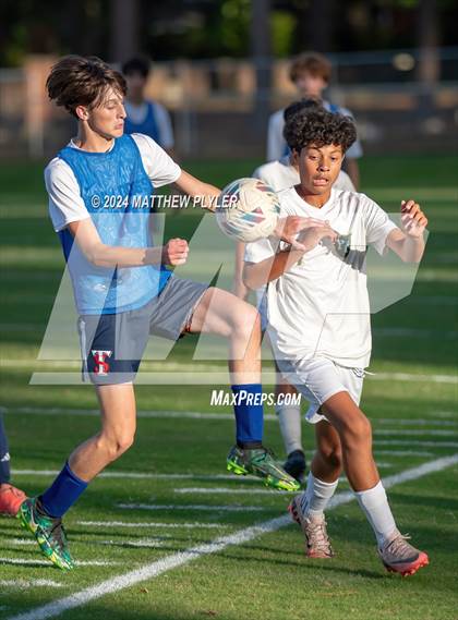 Thumbnail 2 in Pine Forest @ Terry Sanford photogallery.