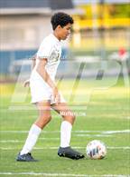 Photo from the gallery "Pine Forest @ Terry Sanford"
