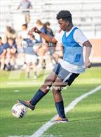 Photo from the gallery "Pine Forest @ Terry Sanford"