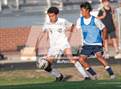 Photo from the gallery "Pine Forest @ Terry Sanford"