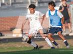 Photo from the gallery "Pine Forest @ Terry Sanford"