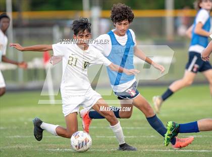 Thumbnail 1 in Pine Forest @ Terry Sanford photogallery.