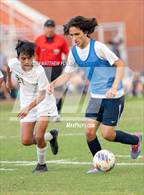 Photo from the gallery "Pine Forest @ Terry Sanford"