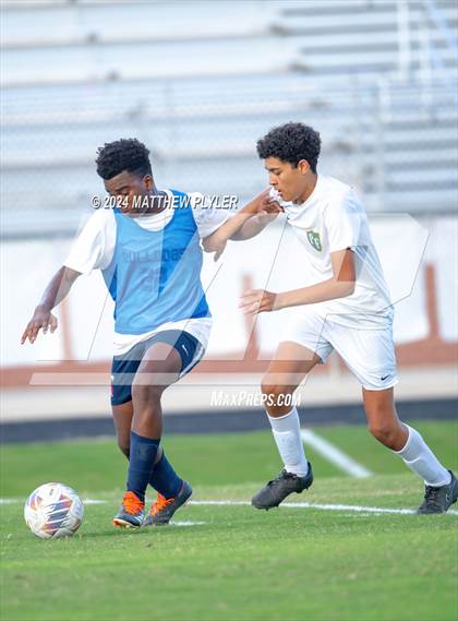 Thumbnail 3 in Pine Forest @ Terry Sanford photogallery.
