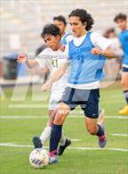Photo from the gallery "Pine Forest @ Terry Sanford"