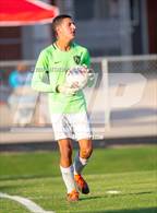 Photo from the gallery "Pine Forest @ Terry Sanford"