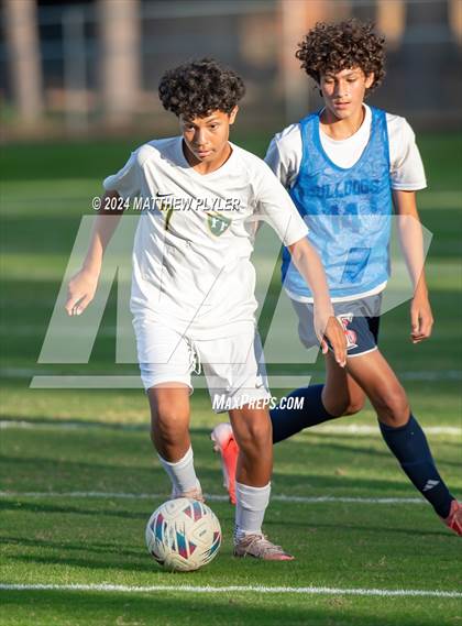 Thumbnail 3 in Pine Forest @ Terry Sanford photogallery.