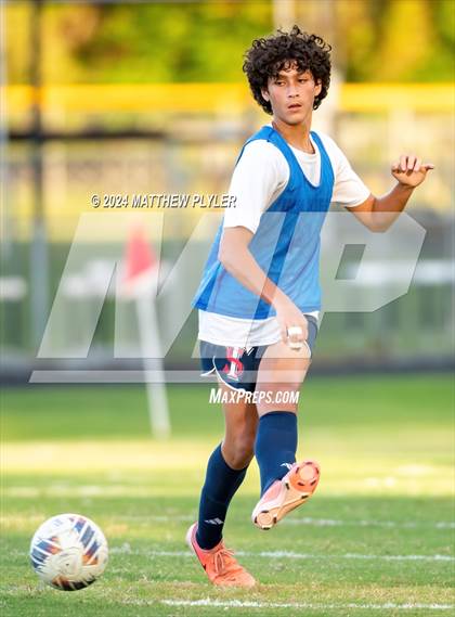 Thumbnail 2 in Pine Forest @ Terry Sanford photogallery.