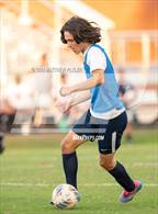 Photo from the gallery "Pine Forest @ Terry Sanford"