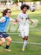 Photo from the gallery "Pine Forest @ Terry Sanford"