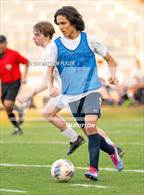 Photo from the gallery "Pine Forest @ Terry Sanford"