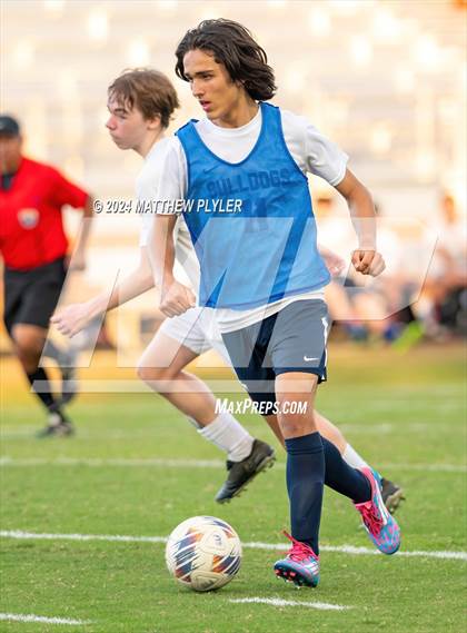 Thumbnail 1 in Pine Forest @ Terry Sanford photogallery.