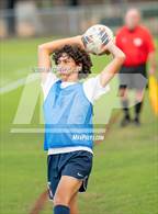 Photo from the gallery "Pine Forest @ Terry Sanford"