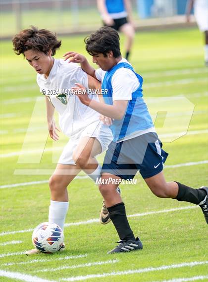 Thumbnail 3 in Pine Forest @ Terry Sanford photogallery.