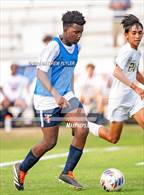 Photo from the gallery "Pine Forest @ Terry Sanford"