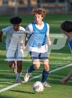 Photo from the gallery "Pine Forest @ Terry Sanford"