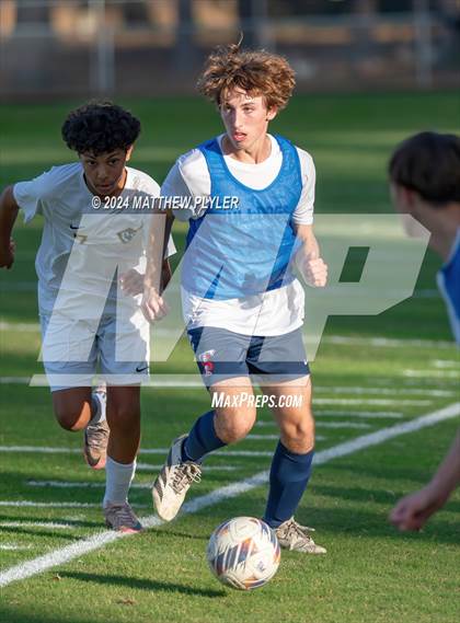 Thumbnail 1 in Pine Forest @ Terry Sanford photogallery.