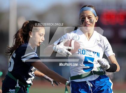 Thumbnail 1 in Roslyn @ Bellmore-Merrick photogallery.