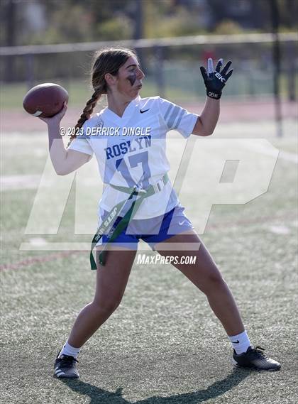 Thumbnail 3 in Roslyn @ Bellmore-Merrick photogallery.