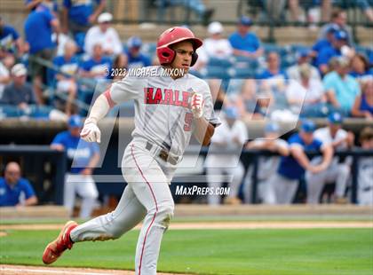 Thumbnail 1 in Harlem vs. Ringgold (GHSA 3A Final) photogallery.
