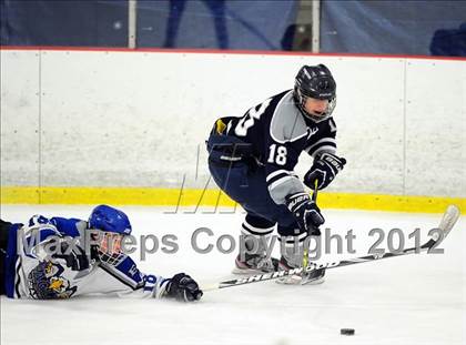 Thumbnail 1 in Staples/Weston/Shelton @ East Catholic photogallery.