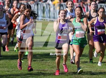 Thumbnail 3 in UIL Cross Country 3A Finals (3200M) photogallery.