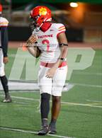 Photo from the gallery "Hawthorne @ South"