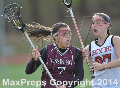 Thumbnail 3 in Ossining @ Rye photogallery.