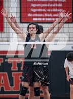 Photo from the gallery "Westminster @ Segerstrom"