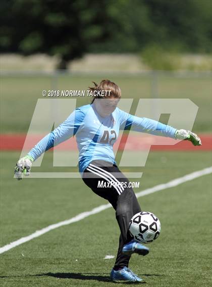 Thumbnail 1 in Bishop Miege vs. Louisburg (KSHSAA 4-1A Final) photogallery.