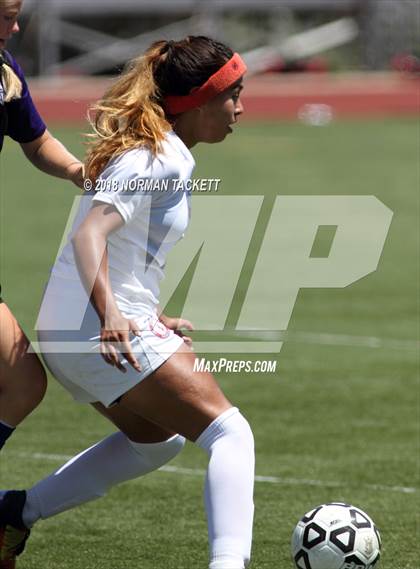 Thumbnail 3 in Bishop Miege vs. Louisburg (KSHSAA 4-1A Final) photogallery.