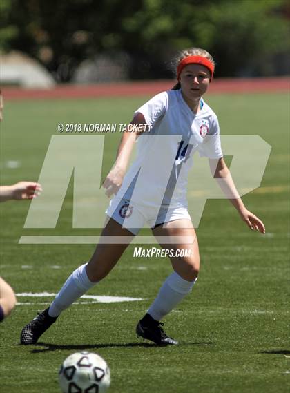 Thumbnail 1 in Bishop Miege vs. Louisburg (KSHSAA 4-1A Final) photogallery.