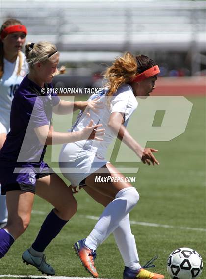 Thumbnail 1 in Bishop Miege vs. Louisburg (KSHSAA 4-1A Final) photogallery.