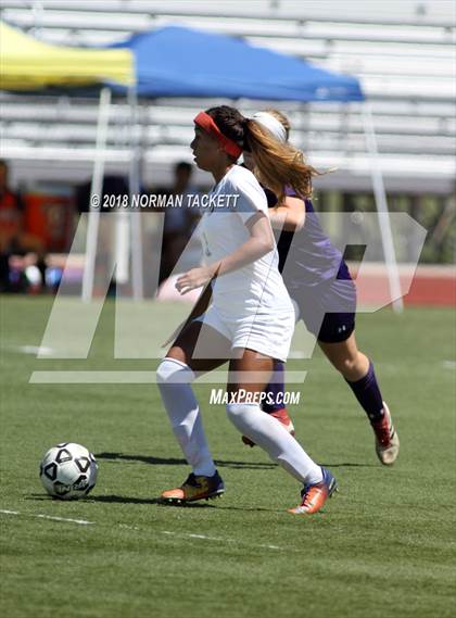 Thumbnail 1 in Bishop Miege vs. Louisburg (KSHSAA 4-1A Final) photogallery.