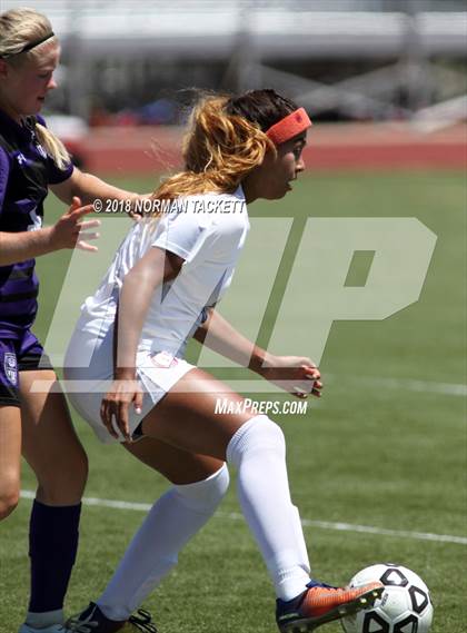 Thumbnail 2 in Bishop Miege vs. Louisburg (KSHSAA 4-1A Final) photogallery.