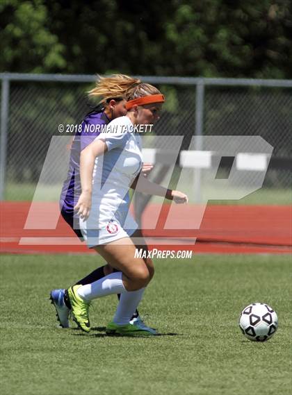 Thumbnail 1 in Bishop Miege vs. Louisburg (KSHSAA 4-1A Final) photogallery.