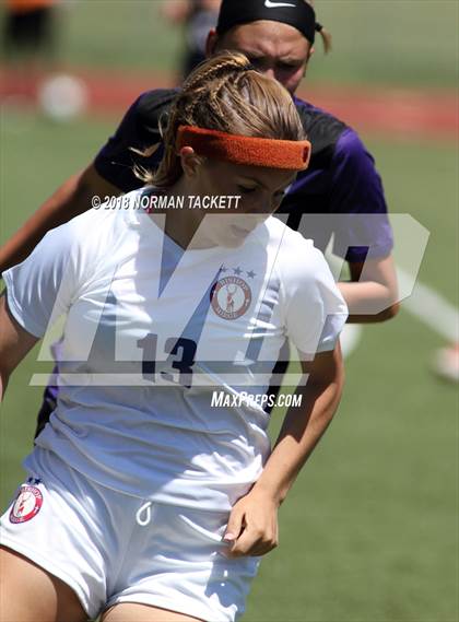 Thumbnail 1 in Bishop Miege vs. Louisburg (KSHSAA 4-1A Final) photogallery.