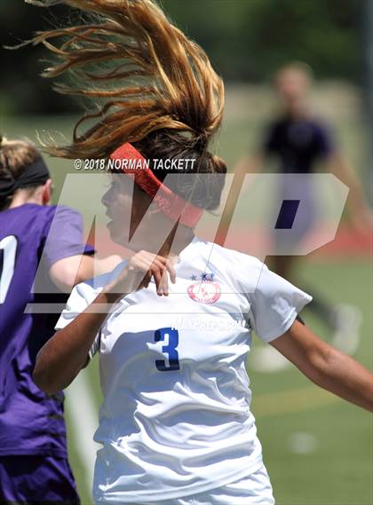 Thumbnail 2 in Bishop Miege vs. Louisburg (KSHSAA 4-1A Final) photogallery.