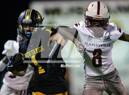 Thumbnail 3 in Maplesville @ Isabella photogallery.