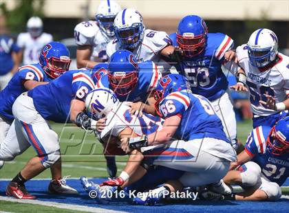 Thumbnail 1 in Nonnewaug @ Coginchaug Regional photogallery.