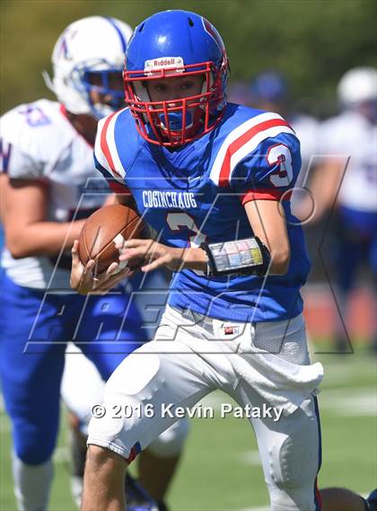 Thumbnail 1 in Nonnewaug @ Coginchaug Regional photogallery.