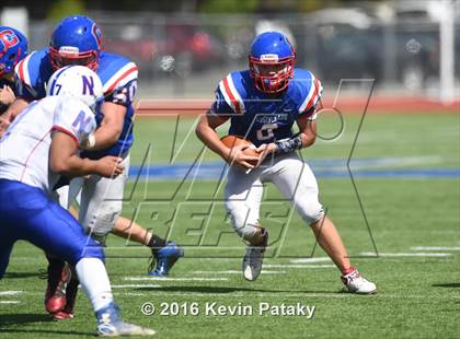 Thumbnail 1 in Nonnewaug @ Coginchaug Regional photogallery.