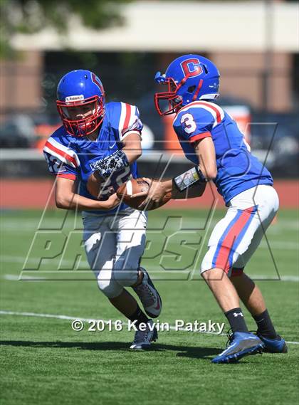 Thumbnail 3 in Nonnewaug @ Coginchaug Regional photogallery.