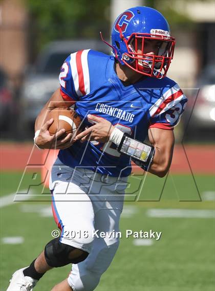 Thumbnail 3 in Nonnewaug @ Coginchaug Regional photogallery.