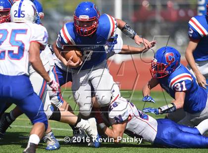 Thumbnail 1 in Nonnewaug @ Coginchaug Regional photogallery.