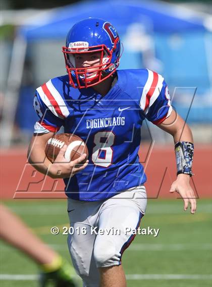 Thumbnail 3 in Nonnewaug @ Coginchaug Regional photogallery.