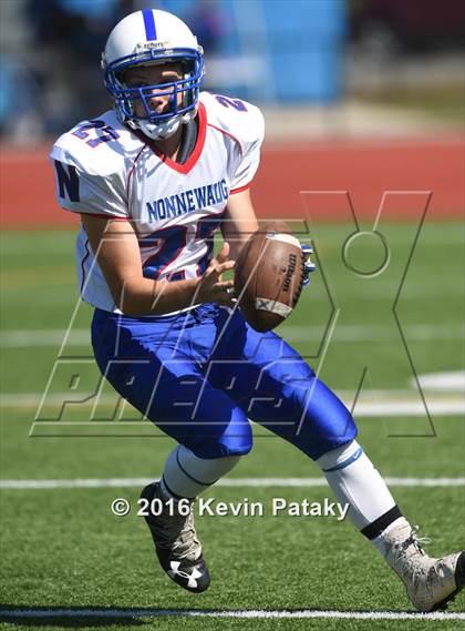 Thumbnail 1 in Nonnewaug @ Coginchaug Regional photogallery.