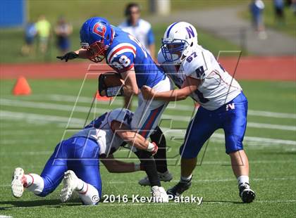 Thumbnail 1 in Nonnewaug @ Coginchaug Regional photogallery.